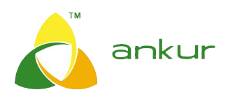 Logo de 4NE